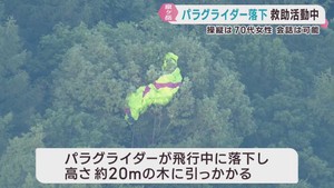 パラグライダーが落下　木に引っ掛かる　仙台・泉ヶ岳