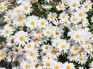 「えらいぞ、私！」ハッピーでいるために私がやめたこと