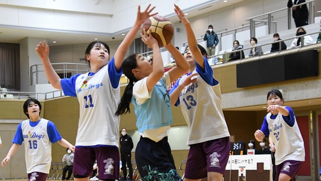 ミニドッグス―越谷アルファーズ