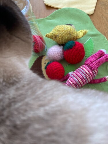 ハルノ君のお気にいりのたくさんの編みぐるみのおもちゃ。「猫じゃらしだと興奮しすぎて壊しちゃうからこれがいいの。たくさんあって幸せ！」（真弓さん提供）