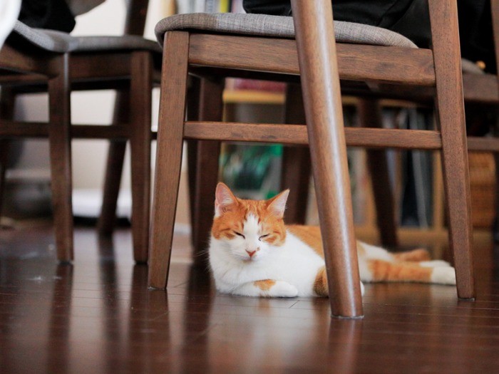 そして、モデルお疲れ様でした。