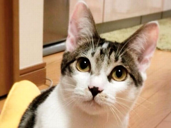 美人に成長した姫ちゃん