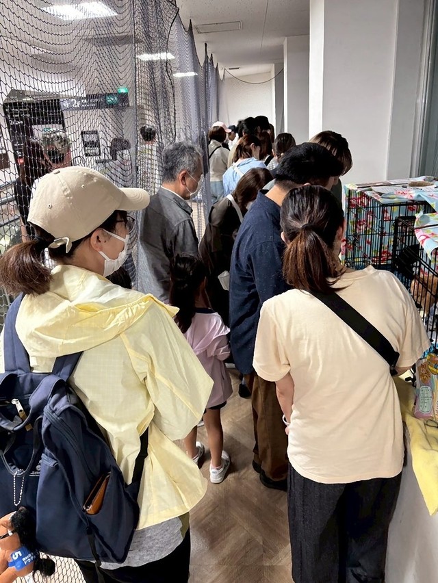 今年5月9日に行われた譲渡会の様子（画像提供：ふみふみ）