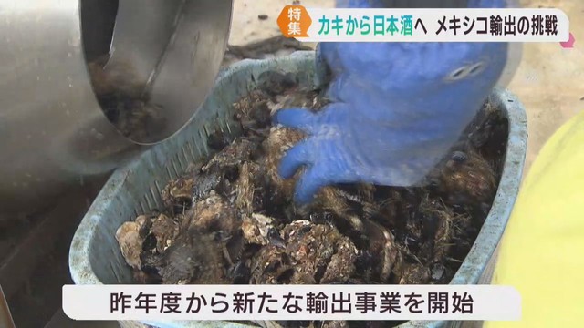 2024年度は水産物を輸出