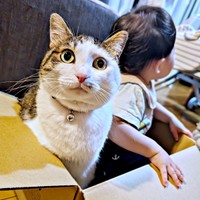 箱の中は大渋滞！ 息子さんとローズちゃん（画像提供：だいちゃんさん）