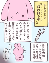 兎星さんが受けた「腹腔鏡手術」の説明（兎星しずかさんの提供）