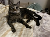 まん丸な目で飼い主さんを見つめる姿に胸キュン…！