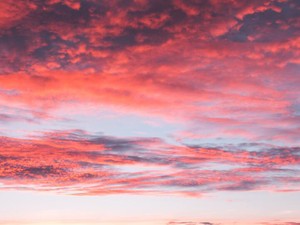 もう少し早ければ母は助かったのか。救急車を呼ぶ判断の後悔は今も