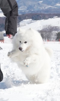 早くも次の「オンシーズン」が楽しみ！（画像提供：THE DAZS ダッツファミリーCh.さん）