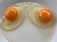 撮った写真④ ※Yasさん提供