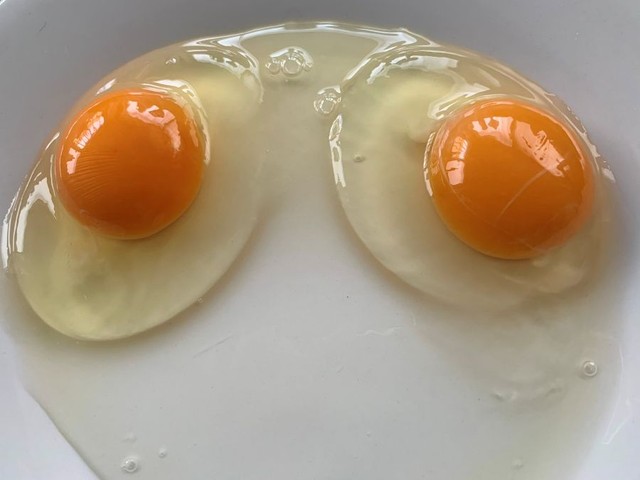 撮った写真④ ※Yasさん提供