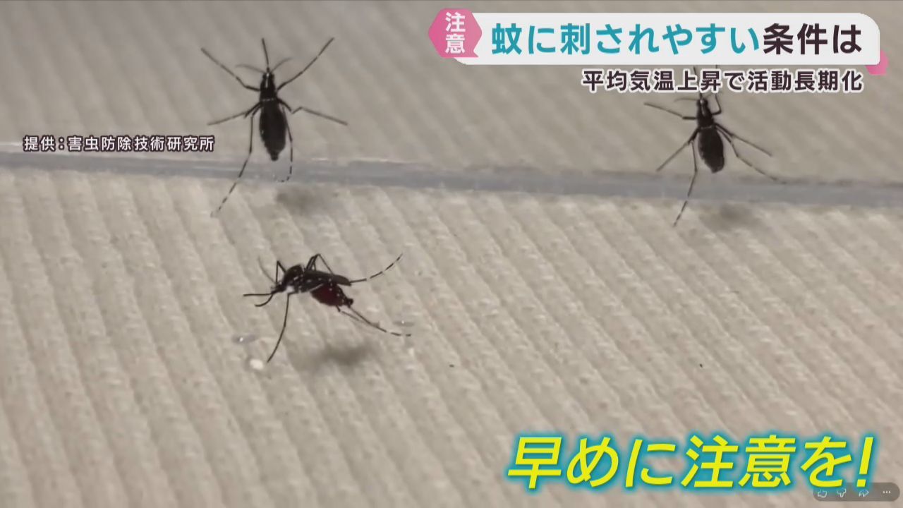 蚊は２５℃以上で活動が活発に　感染症対策で蚊の生息調査　専門家に聞く注意点