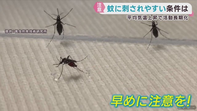 蚊は２５℃以上で活動が活発に　感染症対策で蚊の生息調査　専門家に聞く注意点
