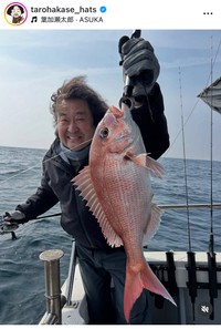 葉加瀬太郎インスタグラム＠tarohakase_hatsより