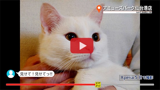 #622アミューズパーク仙台港