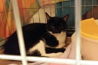 トライアル初日は警戒心たっぷり