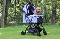 ファーストドッグカート