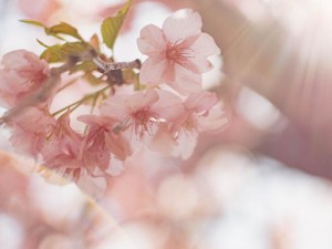 会話がテンポ良く続かないあの子。大学に行けなくなっても、私が戻るのを待ってくれた