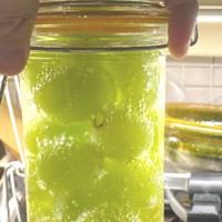 シャインマスカットを強炭酸水で漬け込みました（提供：FUNAさん）