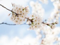 私を変えてくれた彼がいなくなる。残ると決めた私のこれからの生き方