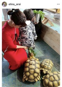 新井恵理那のインスタグラム＠elina_araiより