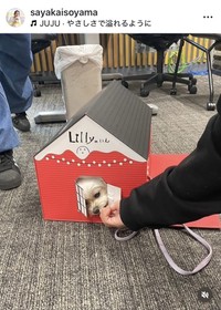 磯山さやかのインスタグラム＠sayakaisoyamaより