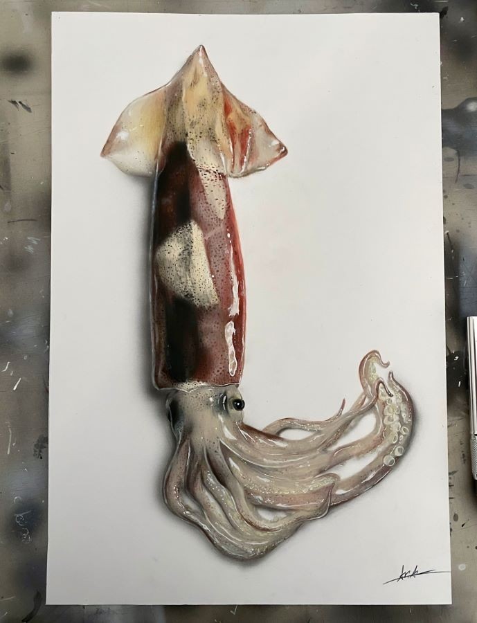 ヌメリ感がリアルすぎ…色鉛筆画家が手がけるタコの絵 「本物にしか見え