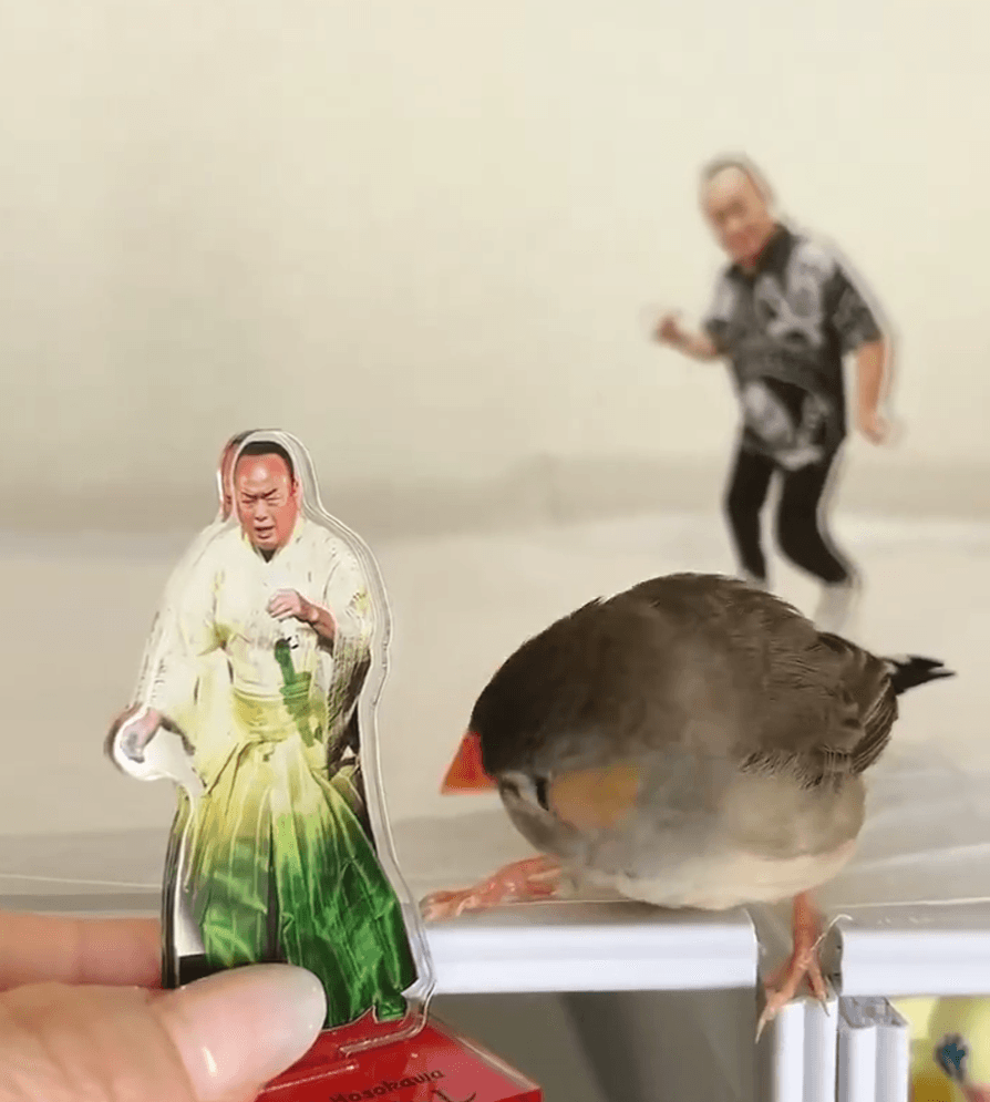 「なんで食べられないの？」