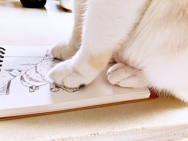 kaoruさんが描く絵の上に乗るルールーちゃん（画像提供：kaoruさん）