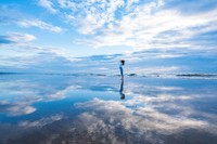 千里浜なぎさドライブウェイ（提供：羽咋市 産業建設部 商工観光課）