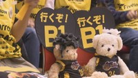 ファイブアローズ 準決勝初戦は敗れる　香川