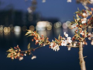 コロナで始まった彼との同棲。ずっと一緒の自粛生活が関係を変えた