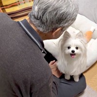 「おいしかった！」飼い主さんに報告するかわいーぬちゃん（画像提供：かわいーぬさん）