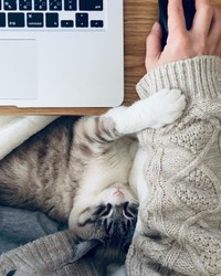 一緒にお手伝いしてあげるよ