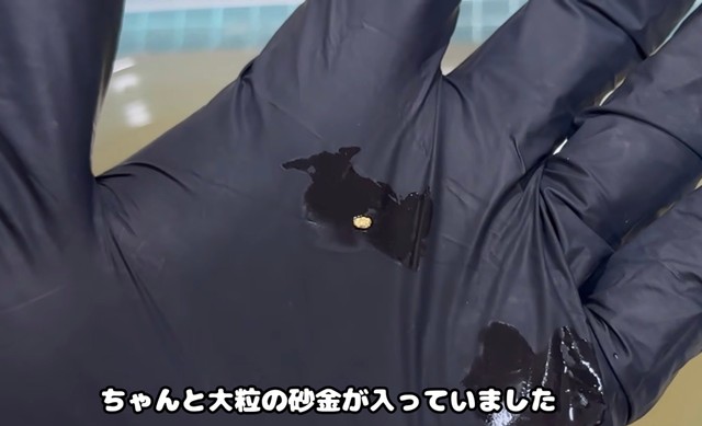 大粒の砂金が入っていた／YouTubeチャンネル「ゴールドハンタービンゴ」（@金塊ビンゴ）提供