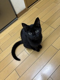 目の色も、すっかり大人に！