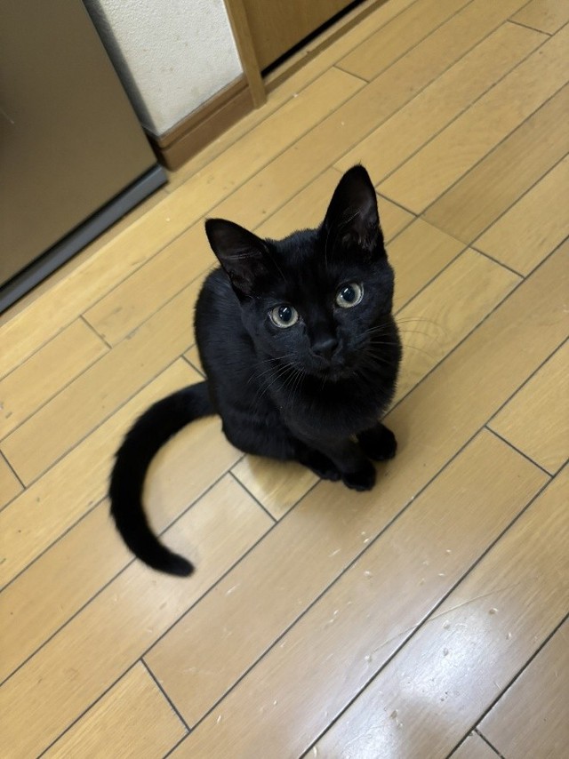 目の色も、すっかり大人に！