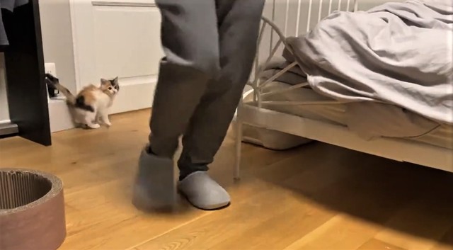 後追い（かにさん提供、twitterよりキャプチャ撮影）