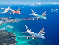 「ANA FLYING HONU」の「遊覧チャーターフライト」も順次実施を告知中。今後の情報もぜひチェックしてみてください！