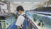 多度津高校の生物科学部の生徒が部活動の一環で作った「ミニ水族館」