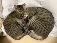 仲良しさん（提供写真）