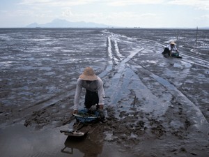 ご当地ゆるキャラ「うないさん」、実物は超レア　長崎・諫早、生き物のにぎわい消えた