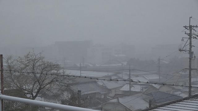 強い冬型の気圧配置の影響で 岡山県北部でも 雪や強い風に見舞われる　