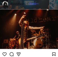 2025年12月、英ニューキャッスルでのライブ、元気にパフォーマンスをしていたジンジャーブライト＝ワイルドハーツのインスタグラム＠thewildheartsより