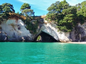 NZ親子留学も残りわずか　あこがれのダイビングライセンスに挑戦