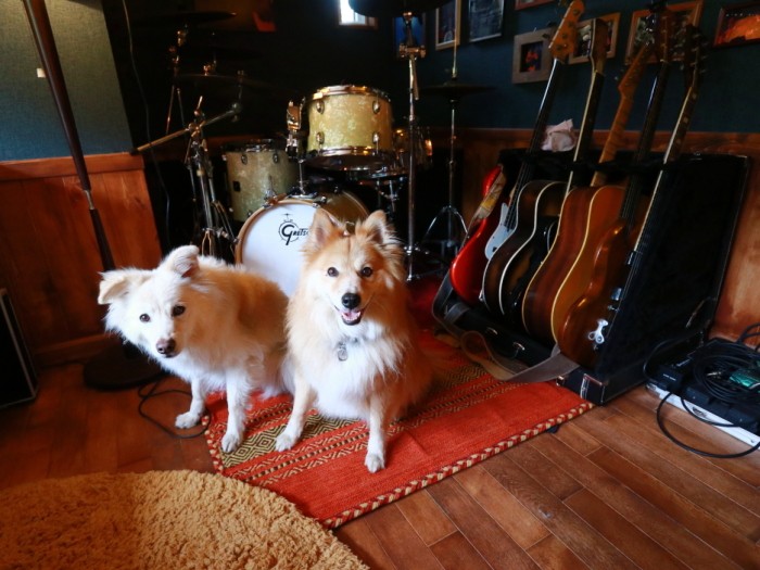 山の家の仕事部屋にて