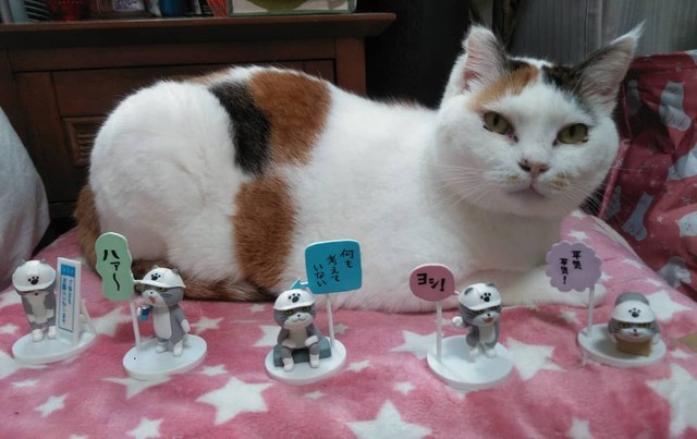 戸田さんの遊びに付き合って写真撮影