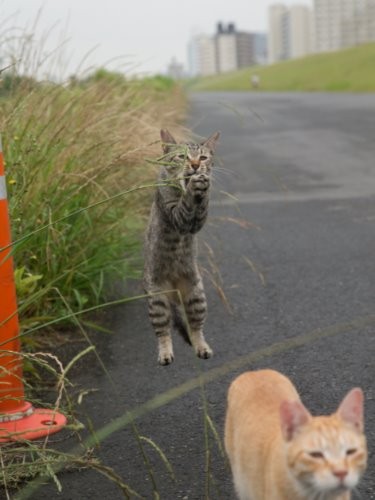 とったどー　（沖昌之　撮影　/ 大和書房　提供）