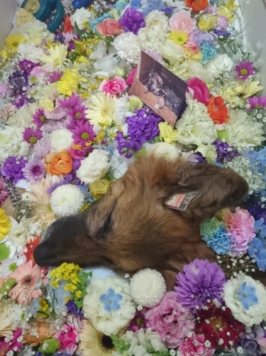 いっぱいの花に包まれて眠る（三橋さん提供）