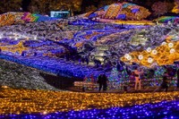 提供：国営讃岐まんのう公園2024シーズンメインイルミ